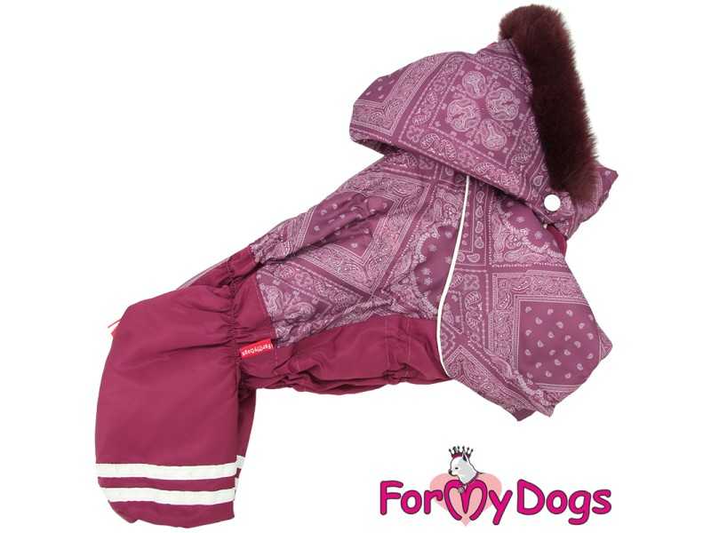 Kombinezonas "For My Dogs"