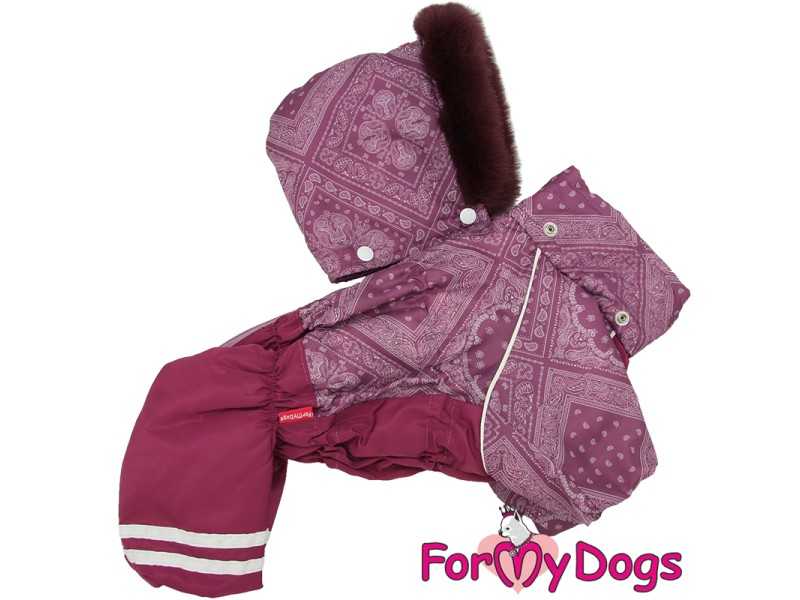 Kombinezonas "For My Dogs"