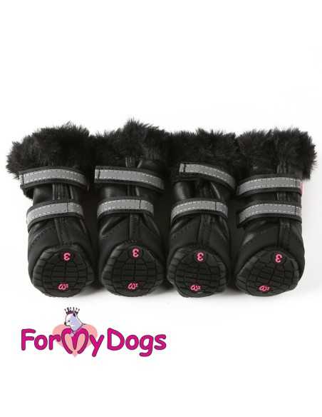 Batai "For My Dogs"